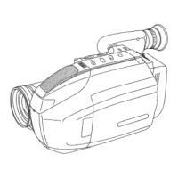 Preview: Palmcorder PalmSight PV-L679