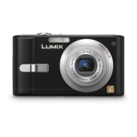 Preview: Panasonic Lumix DMC-FX10