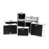 Preview: Peavey Classic Series Classic 30