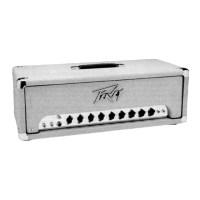 Preview: Peavey Classic Series Classic 50