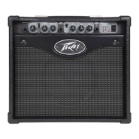 Preview: Peavey Rage 158