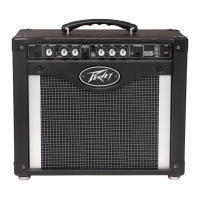 Preview: Peavey Transtube Rage 258