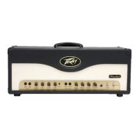 Preview: Peavey Windsor