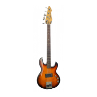 Preview: Peavey T-45