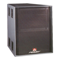 Preview: Peavey HDH 4