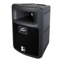 Preview: Peavey PR 10