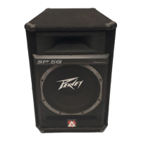 Preview: Peavey SP 5G