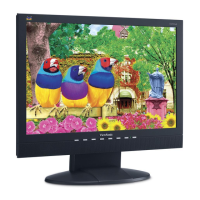 Preview: ViewSonic VA1912w