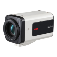 Preview: Sanyo VCC-HD4600P