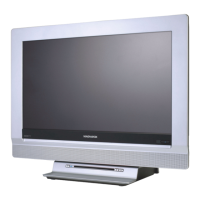 Preview: Magnavox 20MF251W