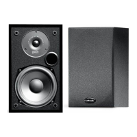 Preview: Polk Audio R10