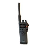 Preview: Raytheon Ray 100