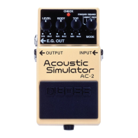 Preview: Boss AC-2