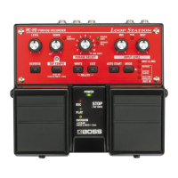 Preview: Boss RC-20