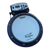 Preview: Roland RM-2