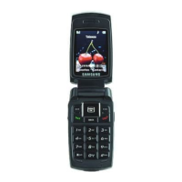 Preview: Samsung SCH-W531