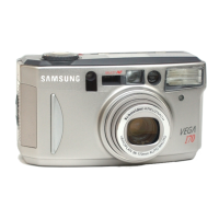 Preview: Samsung VEGA 170