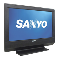 Preview: Sanyo DP26648