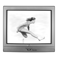 Preview: Sanyo DS35520