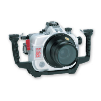Preview: Sea & Sea DX-300D