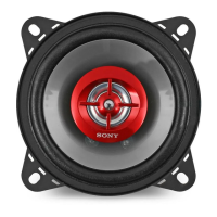 Preview: Sony XS-GF1022X