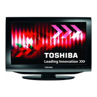 Preview: Toshiba 19DV713B