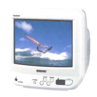 Preview: Sony WEGA KV-9PT50