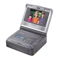 Preview: Sony GV-8