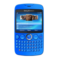 Preview: Sony Ericsson CK13i