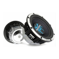 Preview: Soundstream XPRO-10