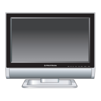 Preview: PROTRON PLTV-3250