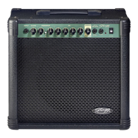 Preview: Stagg 40 GA DSP