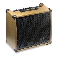 Preview: Stagg 60 AA R