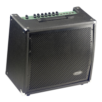 Preview: Stagg 60 GA DSP