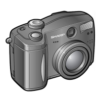 Preview: Sharp VE-CG40U
