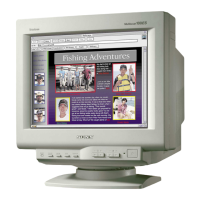 Preview: Sony CPD-100ES