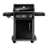 Preview: Weber E-320