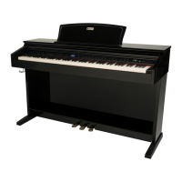 Preview: Williams Piano Overture