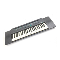 Preview: Yamaha Portatone PSR-100