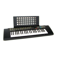 Preview: Yamaha PortaTone PSR-110