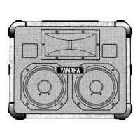 Preview: Yamaha S250X