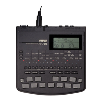 Preview: Yamaha RY-10