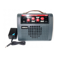 Preview: Yamaha VA-5