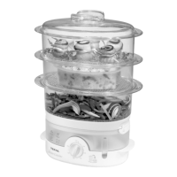 Preview: VC1006 ULTRA COMPACT STEAMER