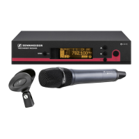 Preview: Sennheiser EM 100 G3