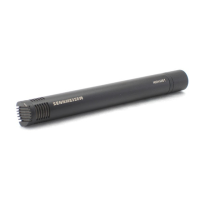 Preview: Sennheiser MKH 406 T