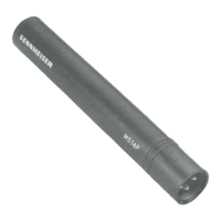 Preview: Sennheiser MS 14 P