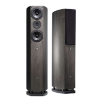 Preview: Audio Pro Avanti A.100