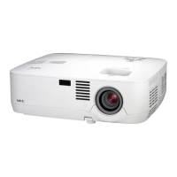 Preview: NEC NP300