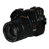 Preview: Olympus CAMEDIA E-20